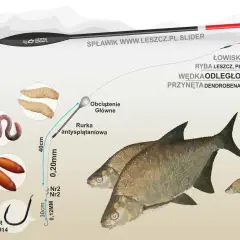 Spławik na leszcza z przynętą (dendrobeną, białym robakiem) i akcesoriami do łowienia na jeziorze.