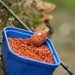 Niebieskie pudełko z przynętą na ryby. W środku mnóstwo pomarańczowych granulek, a na wierzchu feeder z pelletem, gotowy do łowienia.