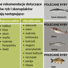 Lista polecanych ryb: dorsz, łosoś, makrela. Zdjęcie przedstawia różne gatunki ryb, w tym mięso z ryby.