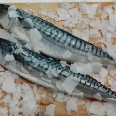 Dwa świeże śledzie oceaniczne leżą na desce, otoczone pokruszonym lodem.