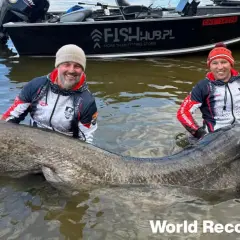Dwóch wędkarzy z gigantycznym sumem. Czy sum ma zęby? Tak, ten okaz ma ich sporo! Rekord 292 cm.