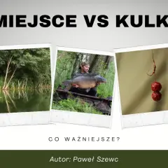 Miejsce vs kulki. Wędkarz z karpiem, łowisko i haczyk z kulkami, które mogą być dobrym dipem na karpia.