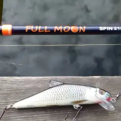 Jaki spinning na szczupaka z brzegu? Wędka "Full Moon Spin 215" i realistyczna przynęta w kształcie ryby czekają na wodzie.