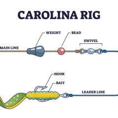 Schemat przyponu carolina rig: żyłka główna, obciążenie, koralik, krętlik, żyłka przyponowa, haczyk i przynęta.