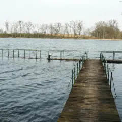 Drewniane molo nad jeziorem Lusowskim, gdzie pewnie kryją się liczne ryby. W tle linia drzew.