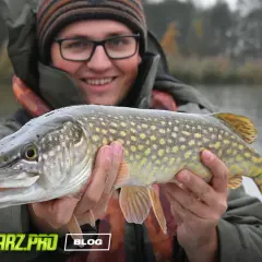 Szczupak na żywca złowiony na grunt. Uśmiechnięty wędkarz prezentuje okaz.
