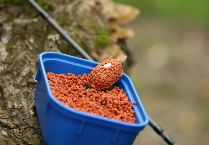 Niebieskie pudełko z przynętą na ryby. W środku mnóstwo pomarańczowych granulek, a na wierzchu feeder z pelletem, gotowy do łowienia.
