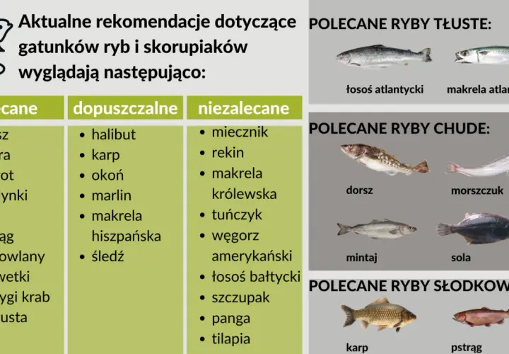 Lista polecanych ryb: dorsz, łosoś, makrela. Zdjęcie przedstawia różne gatunki ryb, w tym mięso z ryby.