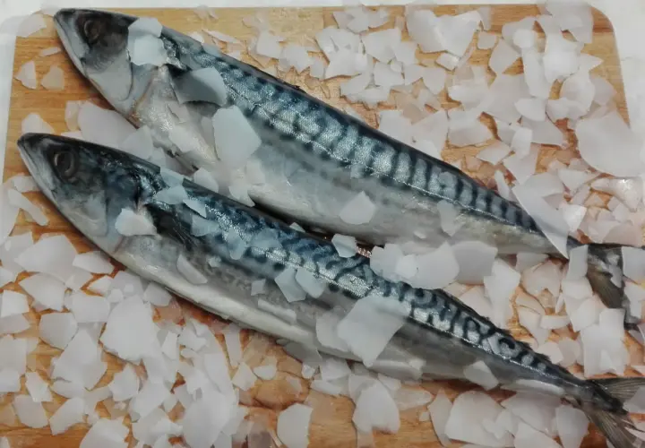 Dwa świeże śledzie oceaniczne leżą na desce, otoczone pokruszonym lodem.