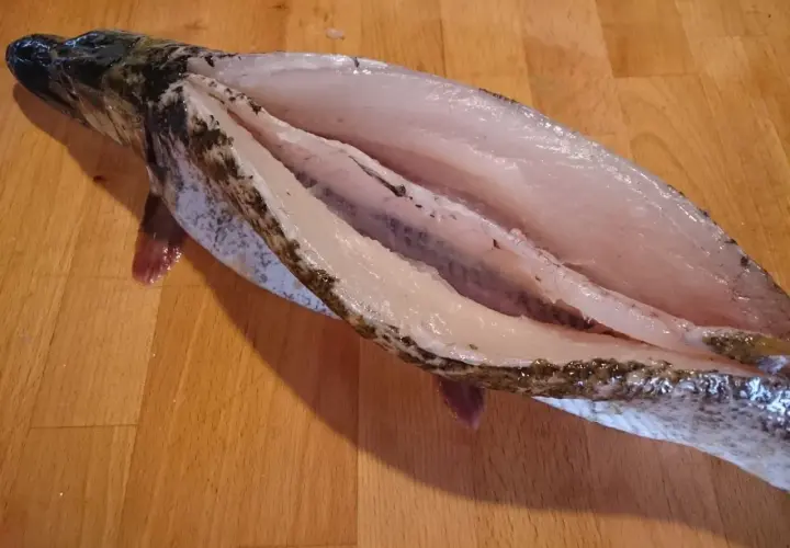 Oczyszczony szczupak na desce, gotowy do dalszej obróbki. Tak przygotowuje się rybę do smażenia lub pieczenia.
