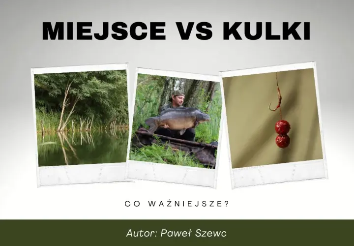 Miejsce vs kulki. Wędkarz z karpiem, łowisko i haczyk z kulkami, które mogą być dobrym dipem na karpia.