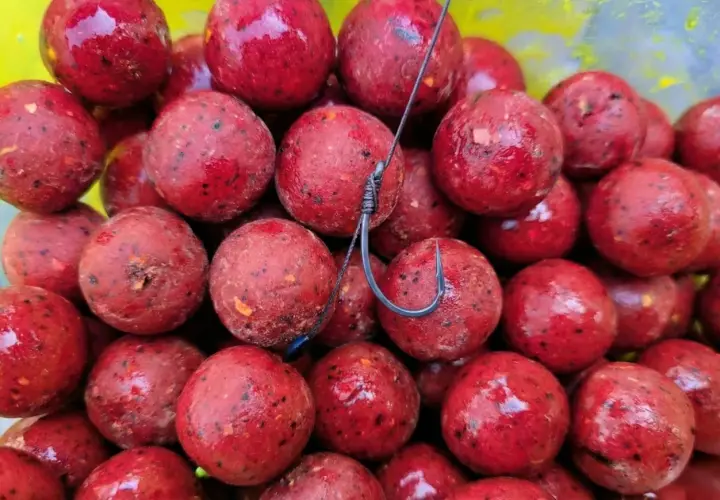 Stos kulek proteinowych na karpia, błyszczące i czerwone, z haczykiem w środku. To najskuteczniejsze kulki proteinowe na karpia, które przyciągną każdego amura.