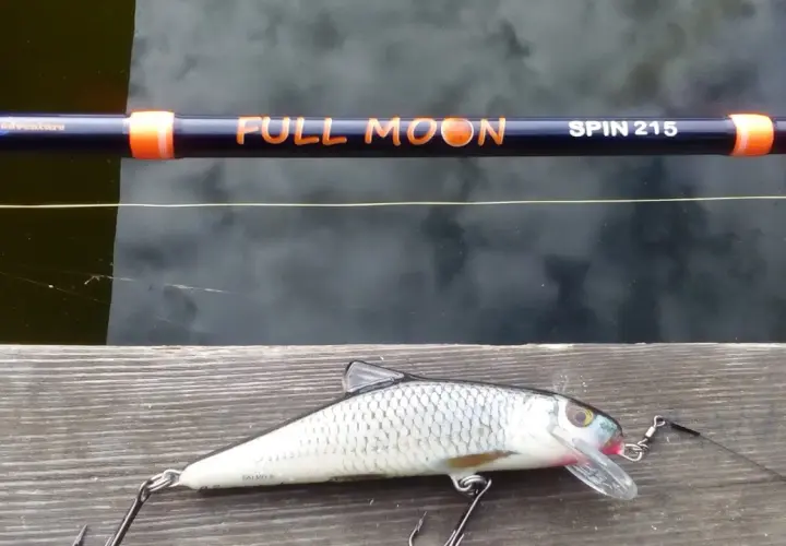 Jaki spinning na szczupaka z brzegu? Wędka "Full Moon Spin 215" i realistyczna przynęta w kształcie ryby czekają na wodzie.
