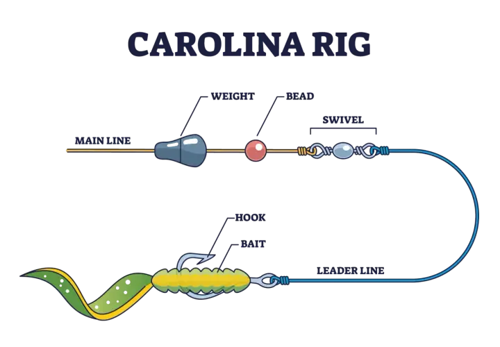 Schemat przyponu carolina rig: żyłka główna, obciążenie, koralik, krętlik, żyłka przyponowa, haczyk i przynęta.