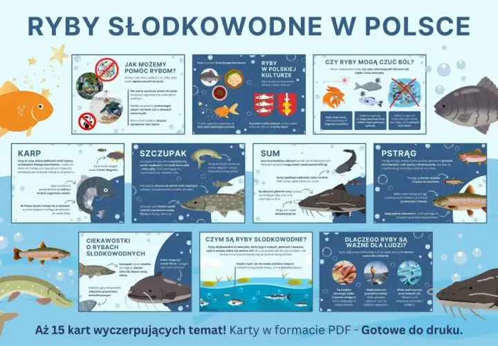 Szczupak, drapieżnik z ostrymi zębami, czeka ukryty wśród roślin na swoją ofiarę.