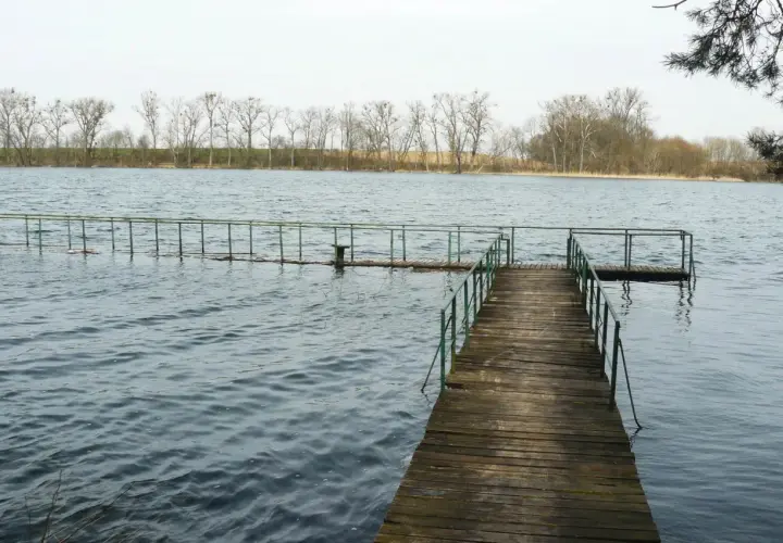 Drewniane molo nad jeziorem Lusowskim, gdzie pewnie kryją się liczne ryby. W tle linia drzew.