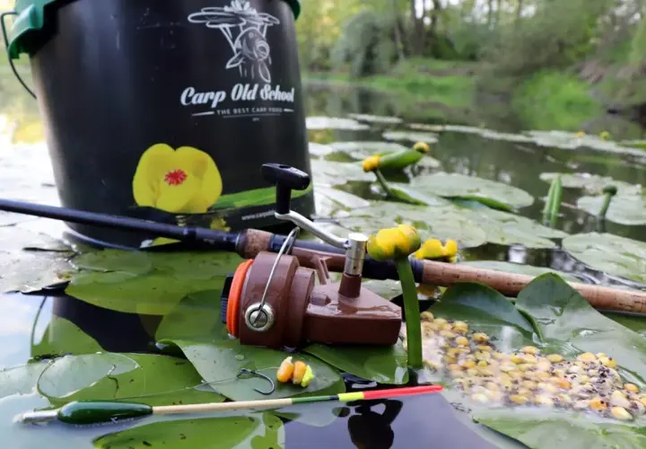 Wiadro "Carp Old School", wędka, kołowrotek i przynęta na liściach lilii wodnych. Oto jak złowić karpia.