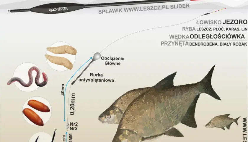 Spławik na leszcza z przynętą (dendrobeną, białym robakiem) i akcesoriami do łowienia na jeziorze.