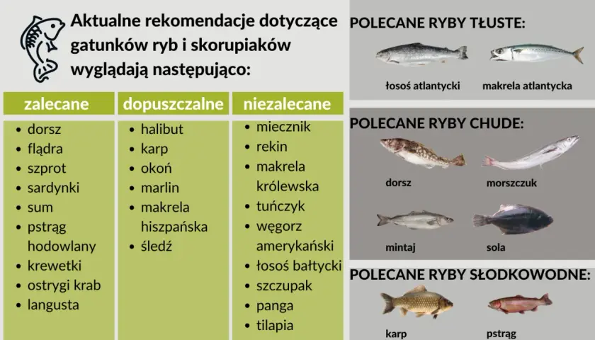 Lista polecanych ryb: dorsz, łosoś, makrela. Zdjęcie przedstawia różne gatunki ryb, w tym mięso z ryby.