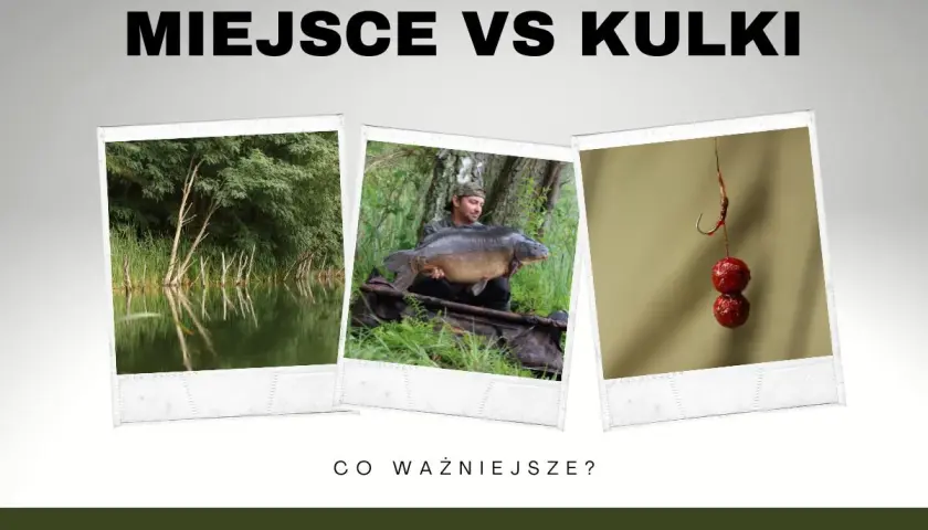 Miejsce vs kulki. Wędkarz z karpiem, łowisko i haczyk z kulkami, które mogą być dobrym dipem na karpia.
