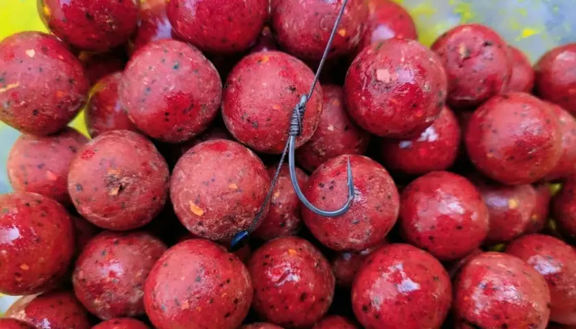 Stos kulek proteinowych na karpia, błyszczące i czerwone, z haczykiem w środku. To najskuteczniejsze kulki proteinowe na karpia, które przyciągną każdego amura.