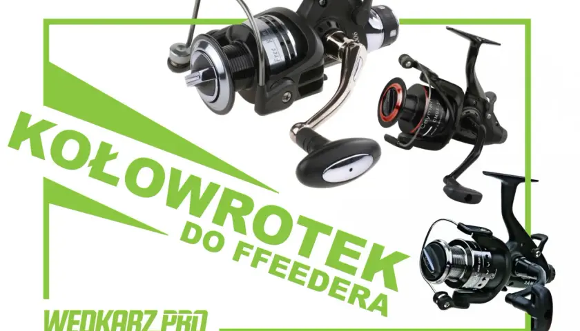 Wybierasz jaki kołowrotek do feedera? Zobacz te modele, idealne do precyzyjnego łowienia.