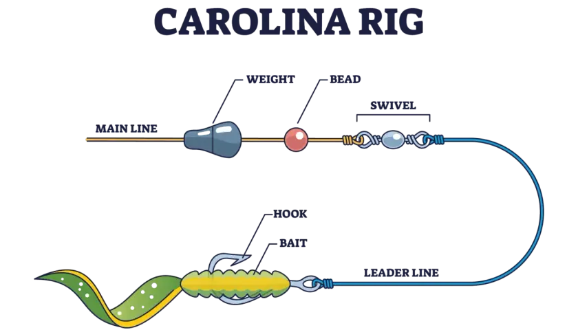 Schemat przyponu carolina rig: żyłka główna, obciążenie, koralik, krętlik, żyłka przyponowa, haczyk i przynęta.