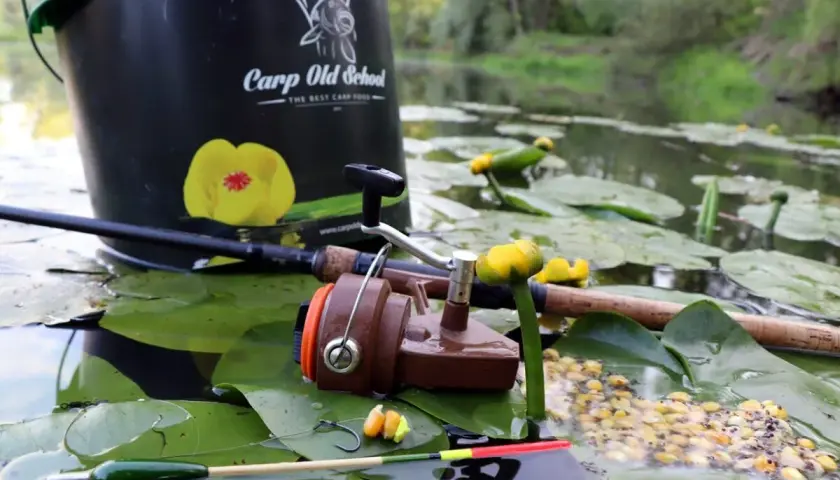 Wiadro "Carp Old School", wędka, kołowrotek i przynęta na liściach lilii wodnych. Oto jak złowić karpia.