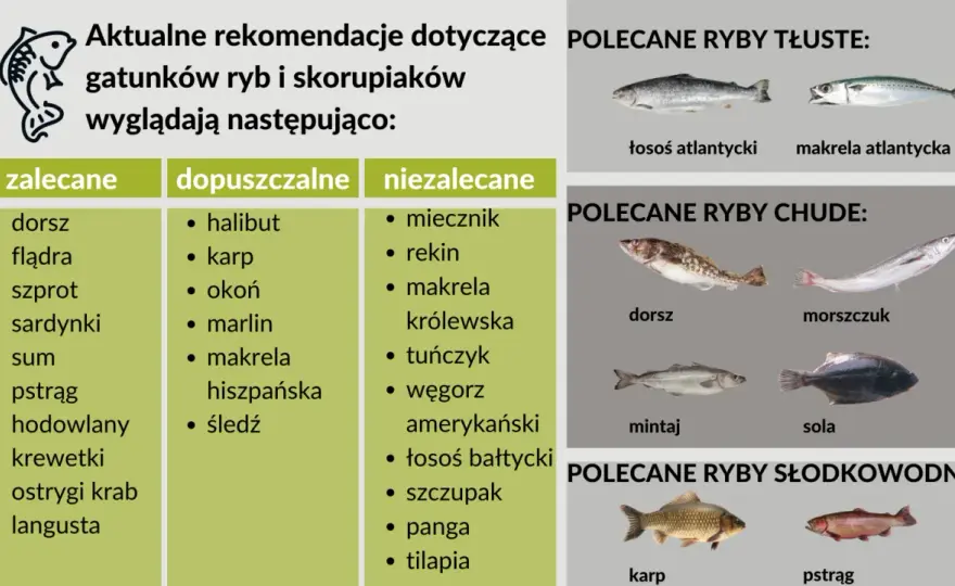 Mięso ryby - Dorsz, łosoś, makrela: Jak wybrać i przygotować?
