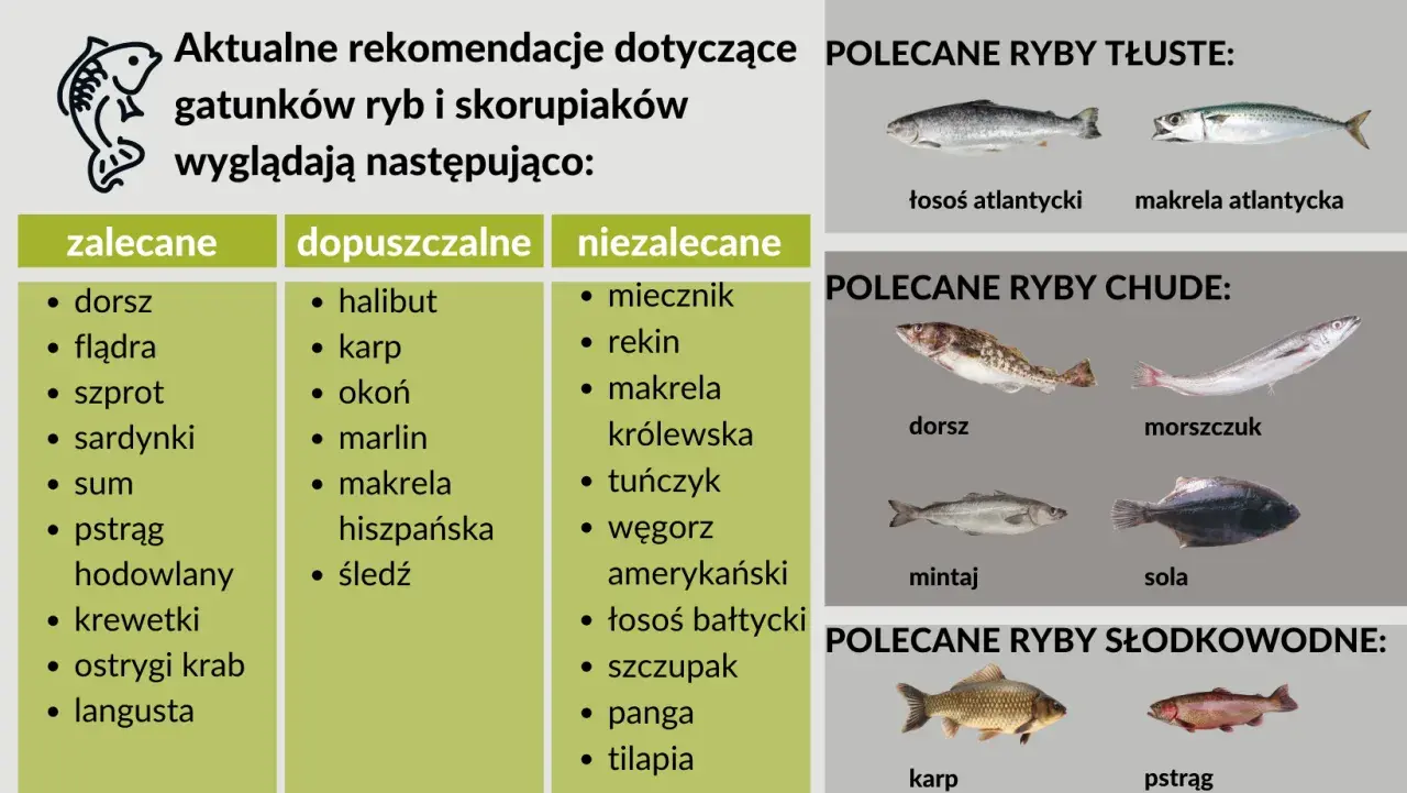 Lista polecanych ryb: dorsz, łosoś, makrela. Zdjęcie przedstawia różne gatunki ryb, w tym mięso z ryby.