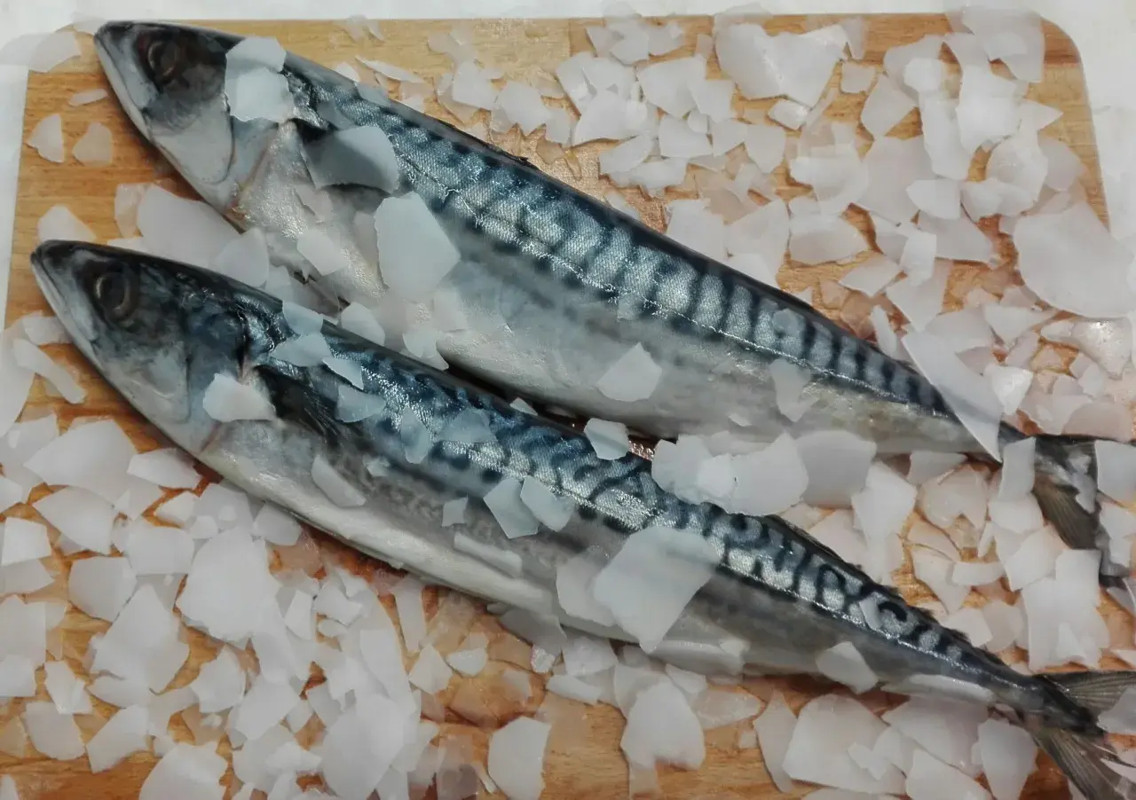 Dwa świeże śledzie oceaniczne leżą na desce, otoczone pokruszonym lodem.
