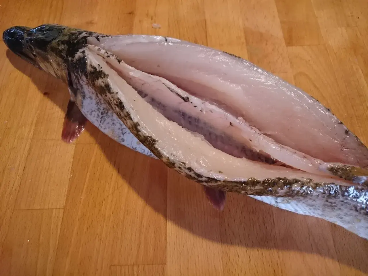 Oczyszczony szczupak na desce, gotowy do dalszej obróbki. Tak przygotowuje się rybę do smażenia lub pieczenia.