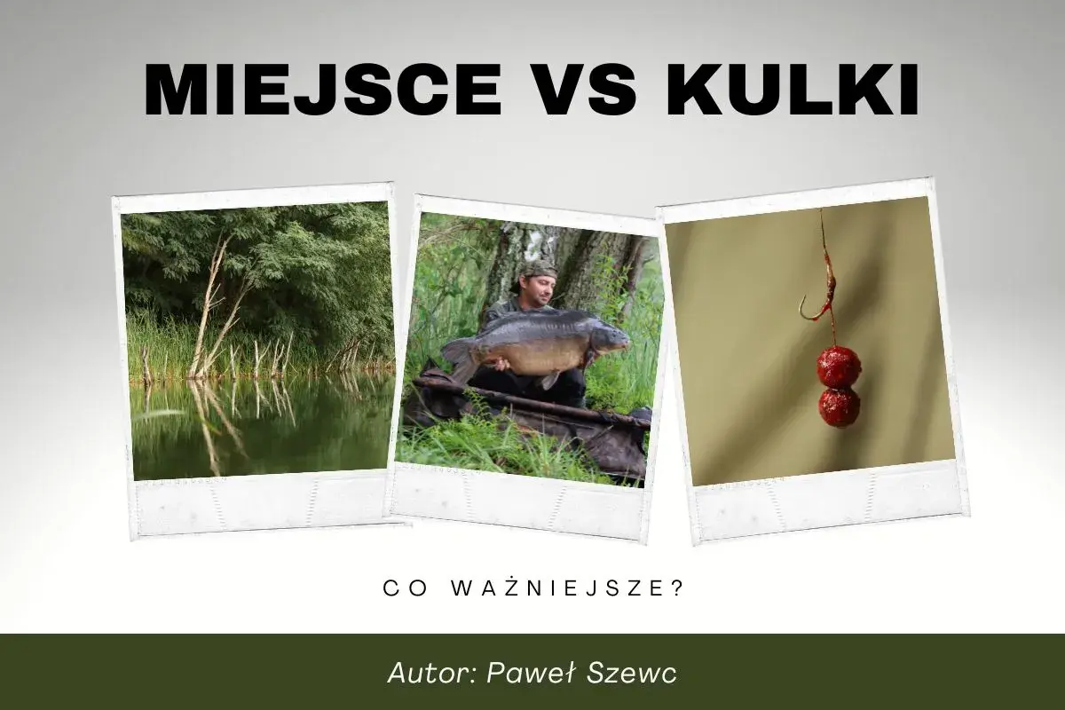 Miejsce vs kulki. Wędkarz z karpiem, łowisko i haczyk z kulkami, które mogą być dobrym dipem na karpia.