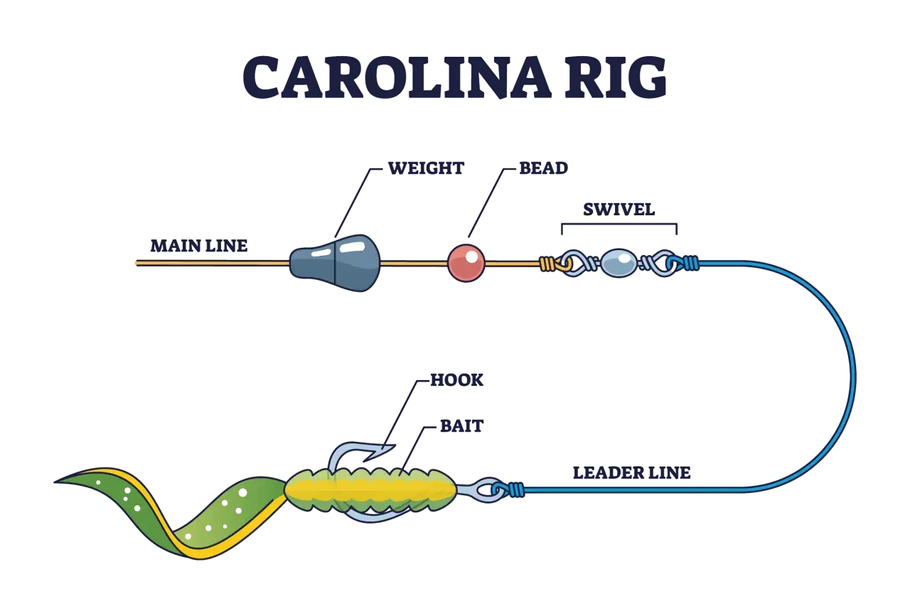 Schemat przyponu carolina rig: żyłka główna, obciążenie, koralik, krętlik, żyłka przyponowa, haczyk i przynęta.