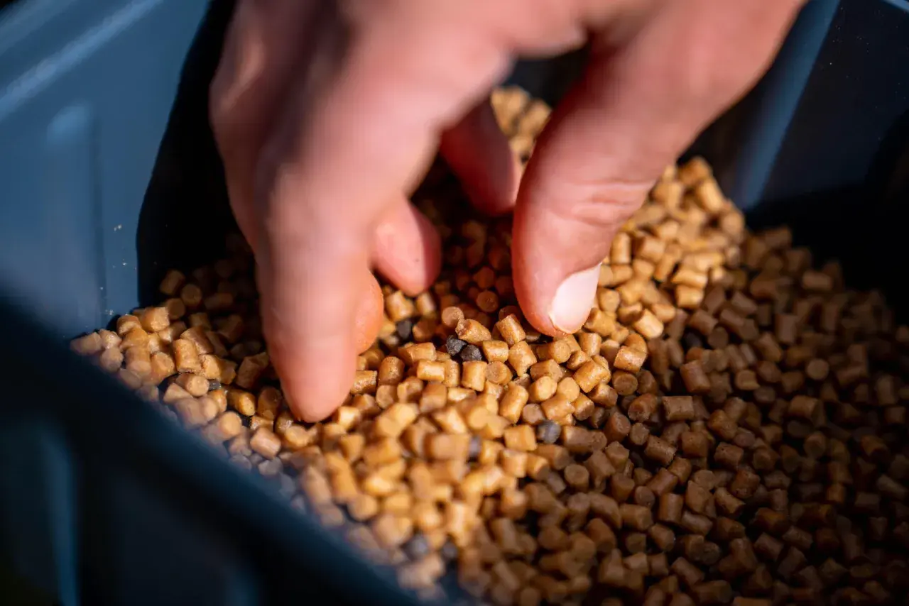 Dłoń miesza drobne granulki, przygotowując idealną zanętę.