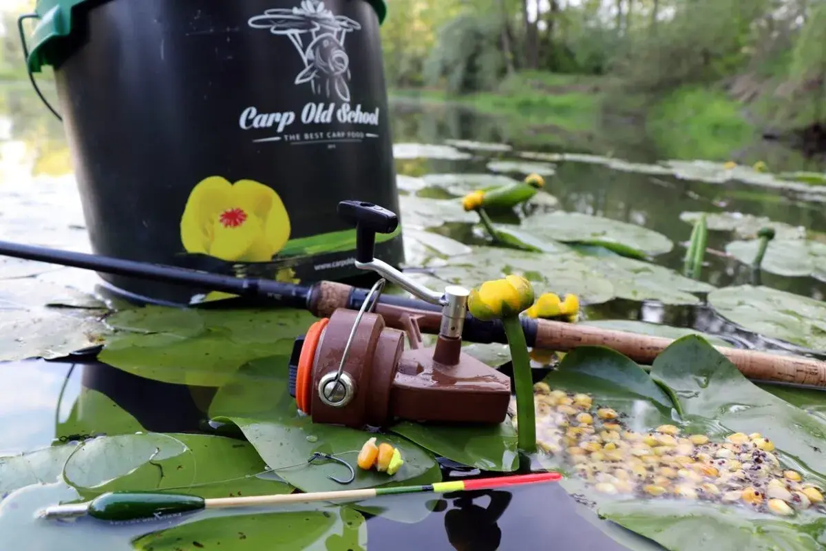 Wiadro "Carp Old School", wędka, kołowrotek i przynęta na liściach lilii wodnych. Oto jak złowić karpia.