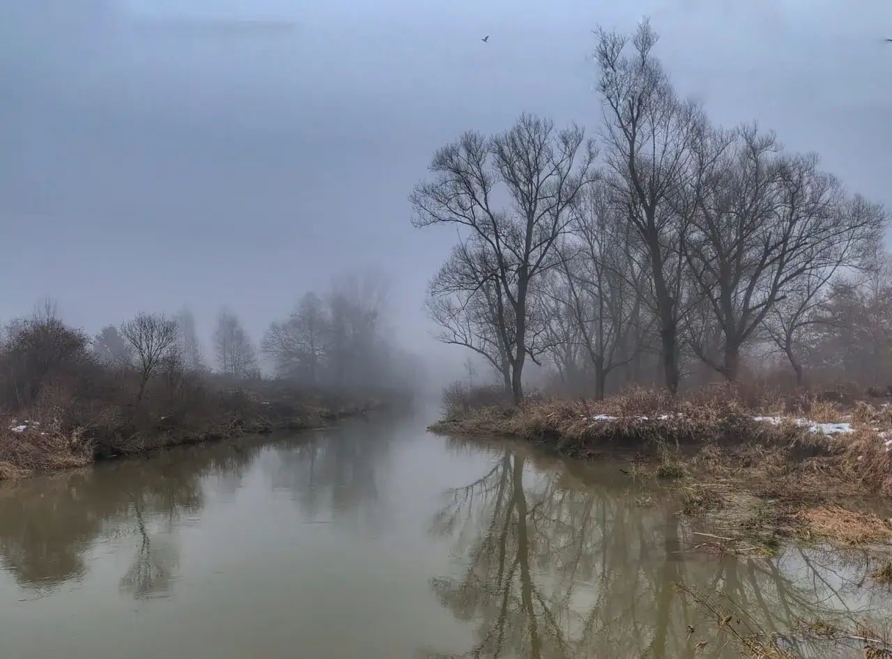 Mglisty krajobraz rzeki w styczniu. Drzewa bez liści odbijają się w spokojnej wodzie.